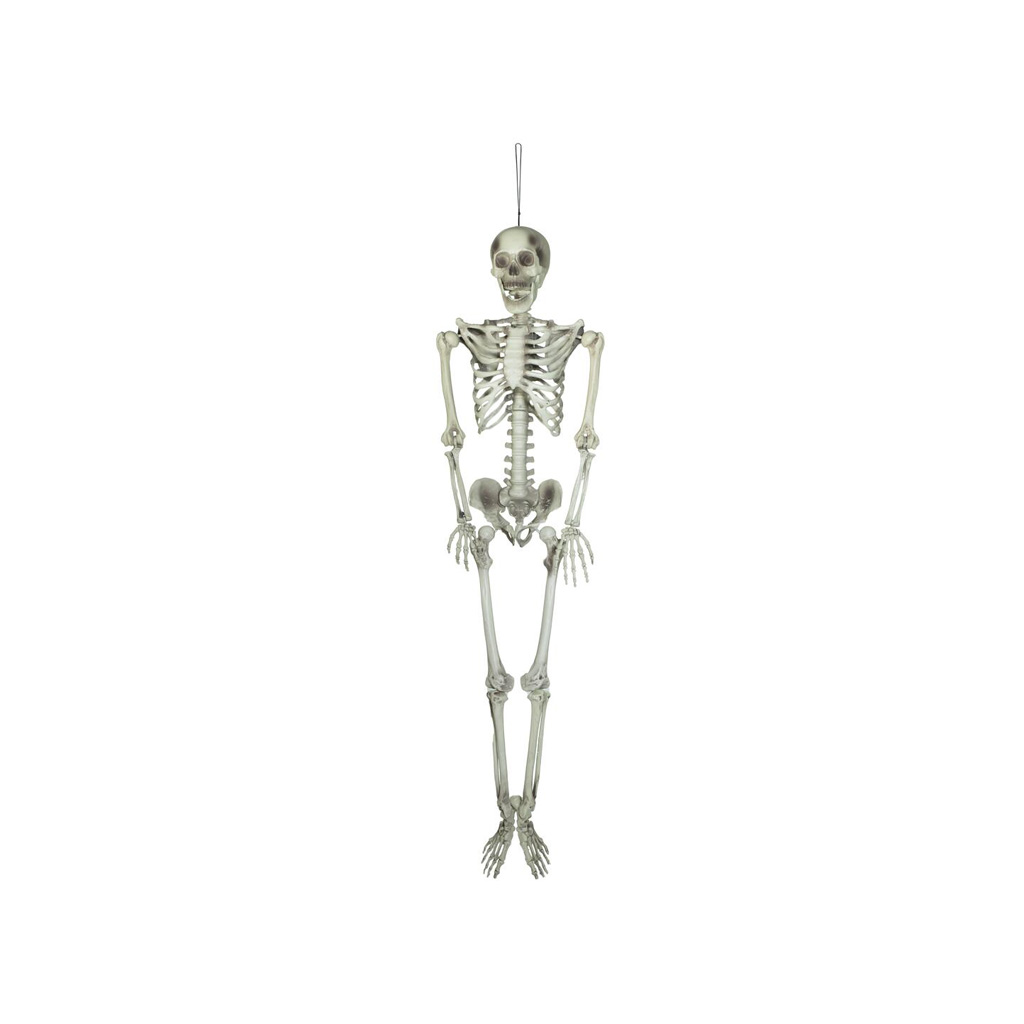 Halloween Skelett, 150cm.